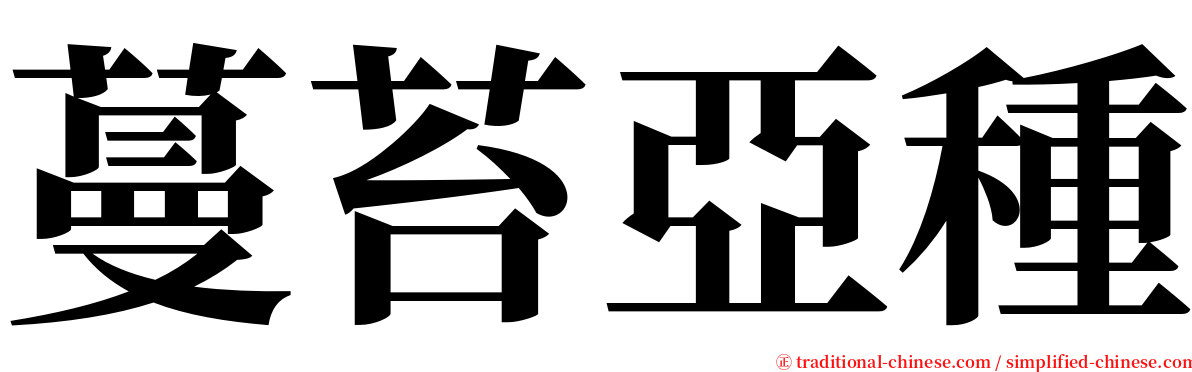 蔓苔亞種 serif font