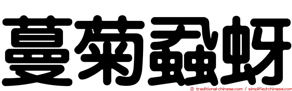 蔓菊蝨蚜