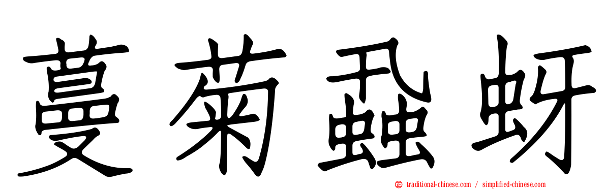 蔓菊蝨蚜