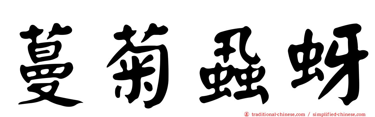 蔓菊蝨蚜