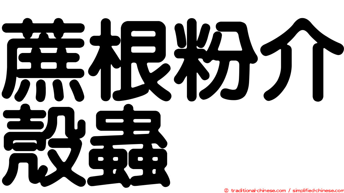 蔗根粉介殼蟲