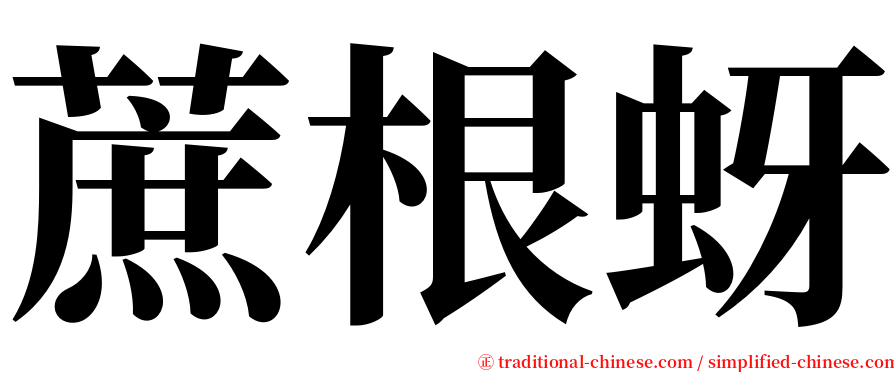 蔗根蚜 serif font