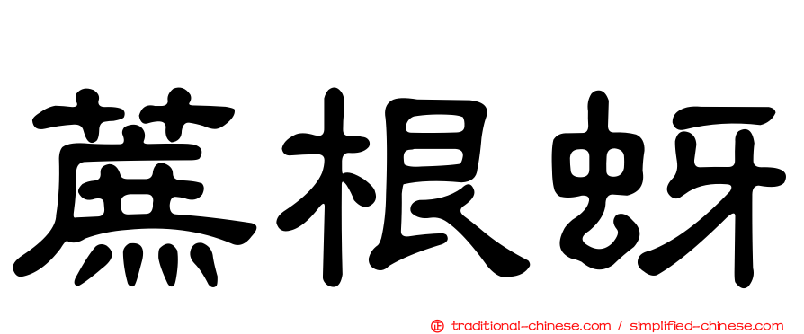 蔗根蚜