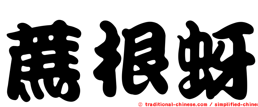 蔗根蚜