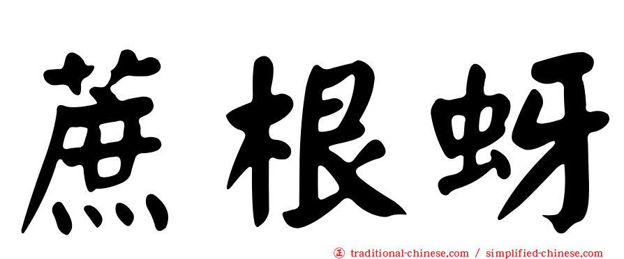 蔗根蚜
