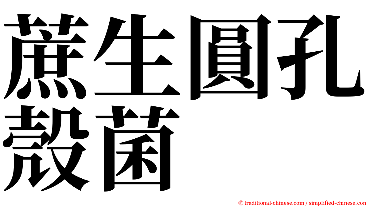 蔗生圓孔殼菌 serif font
