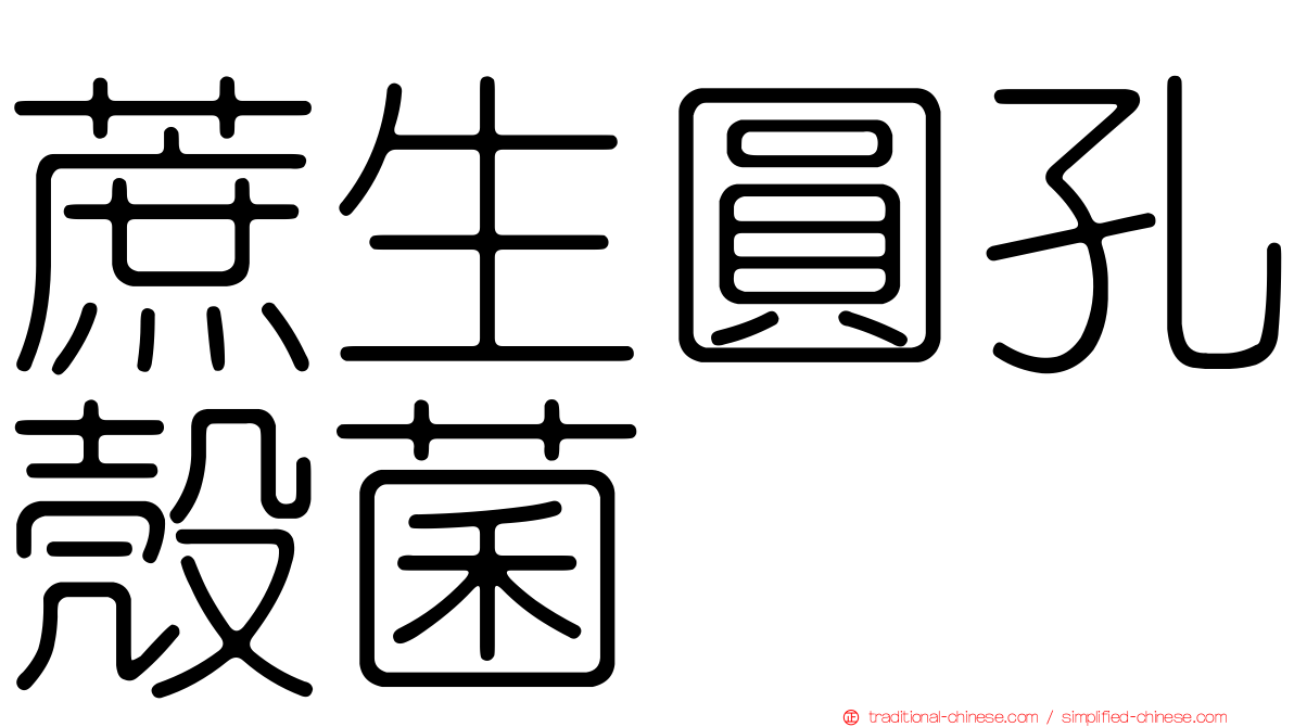 蔗生圓孔殼菌