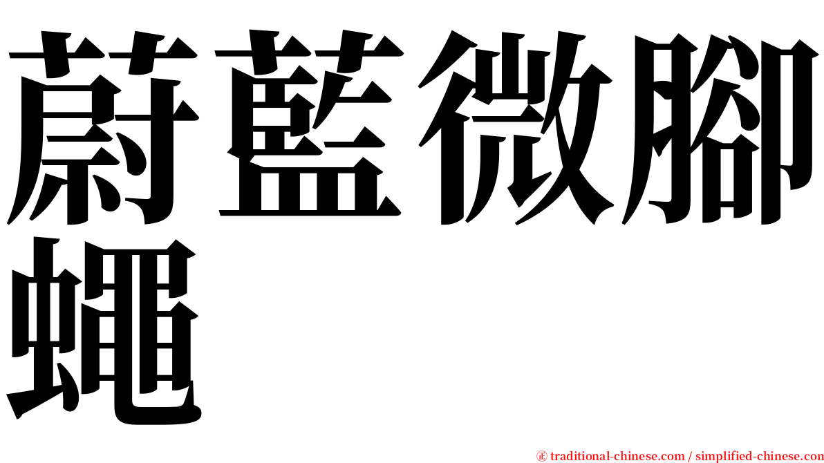 蔚藍微腳蠅 serif font