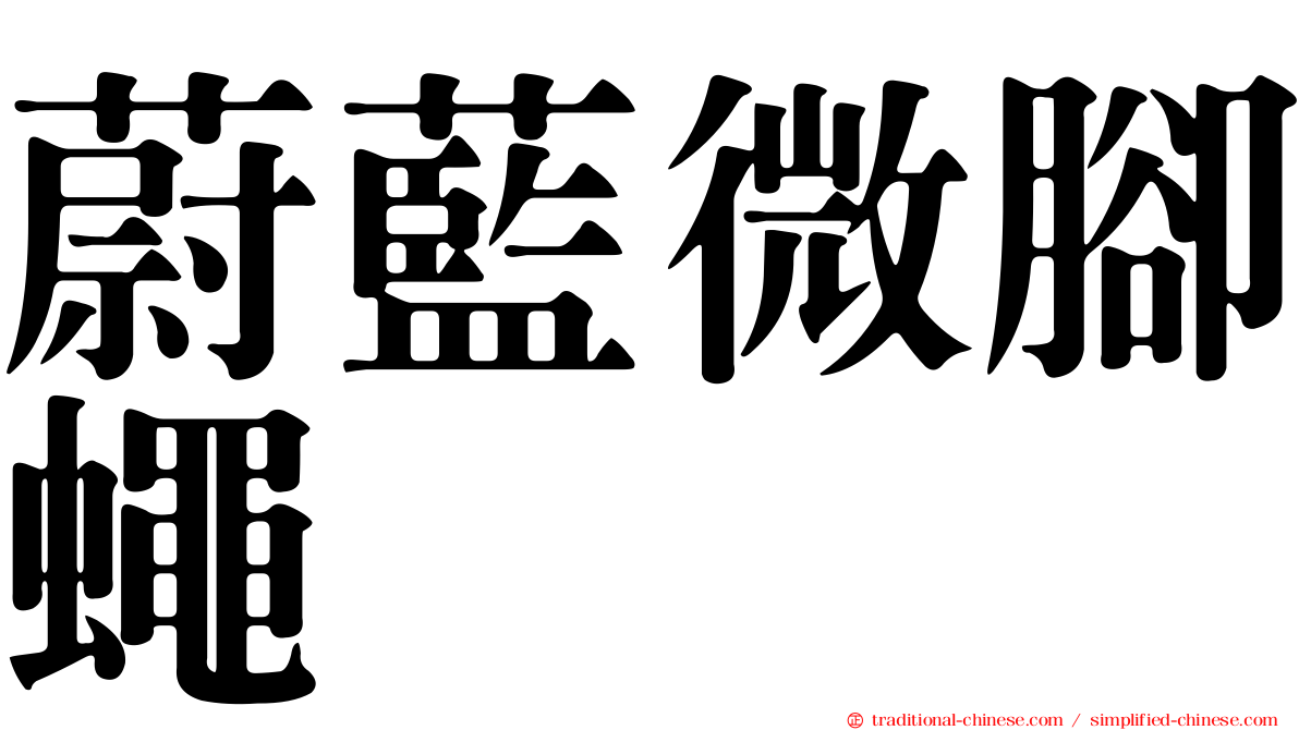 蔚藍微腳蠅