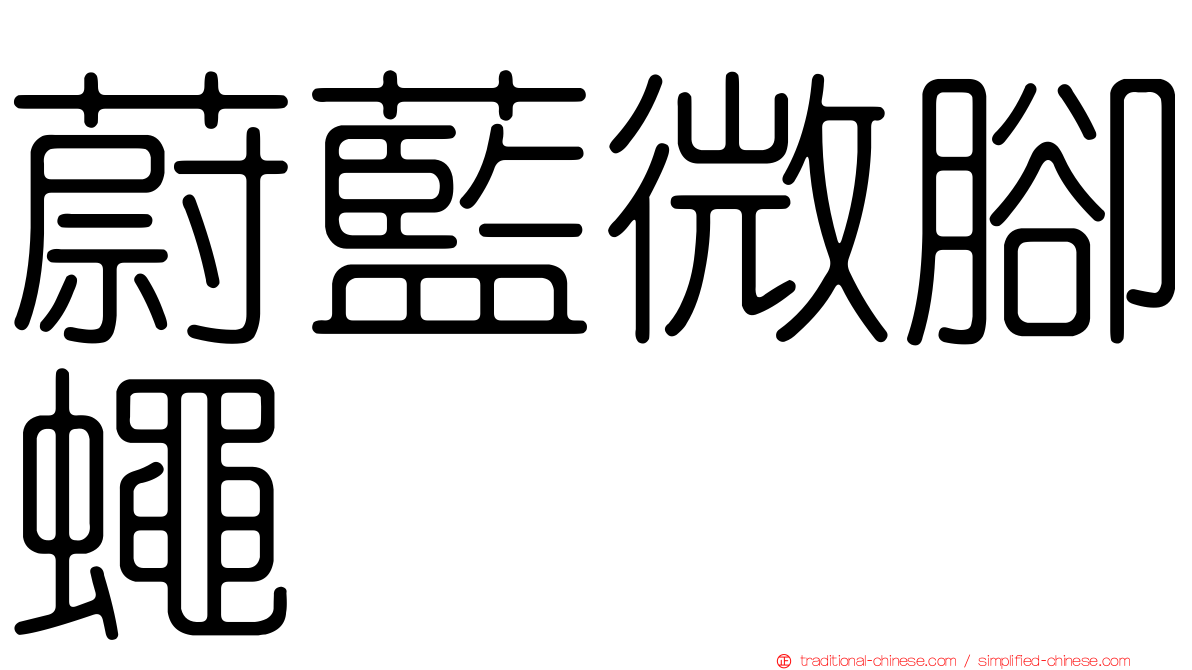 蔚藍微腳蠅