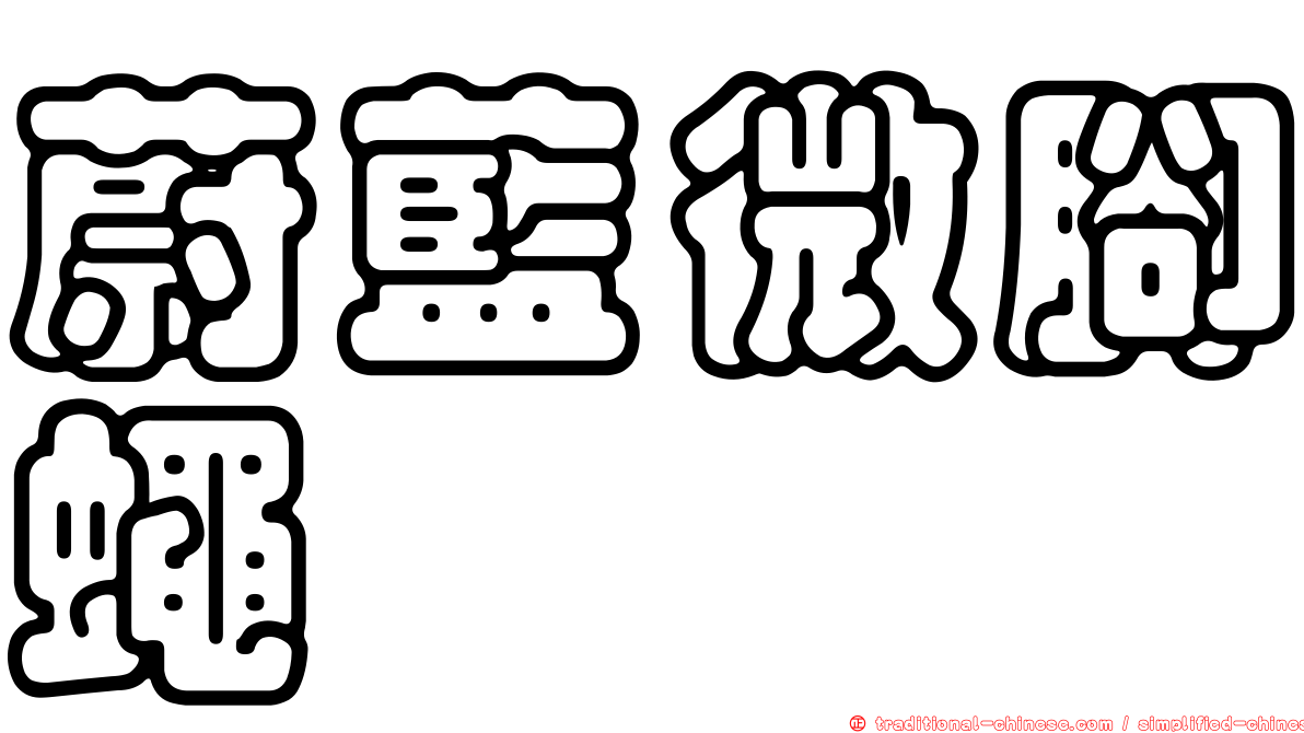蔚藍微腳蠅
