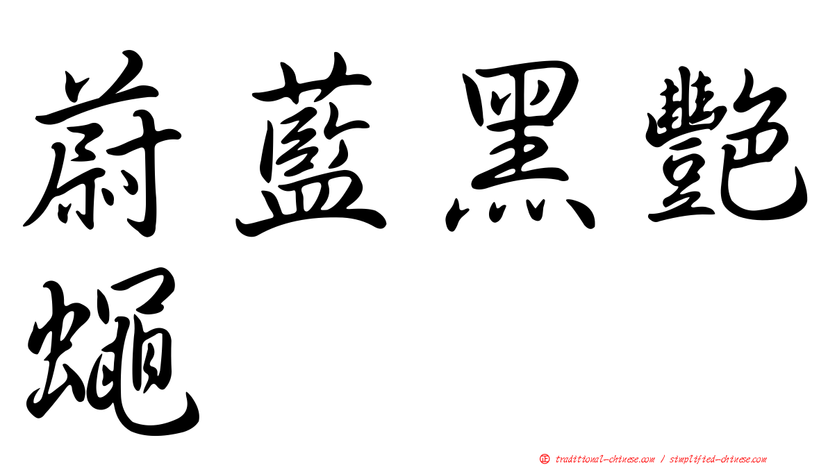 蔚藍黑艷蠅