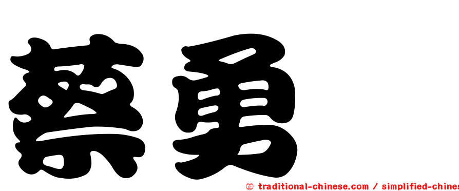 蔡勇斌