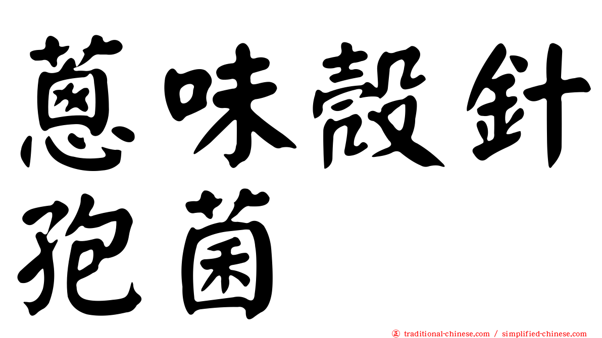 蔥味殼針孢菌