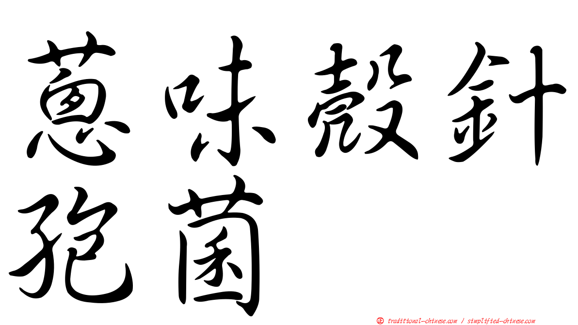 蔥味殼針孢菌