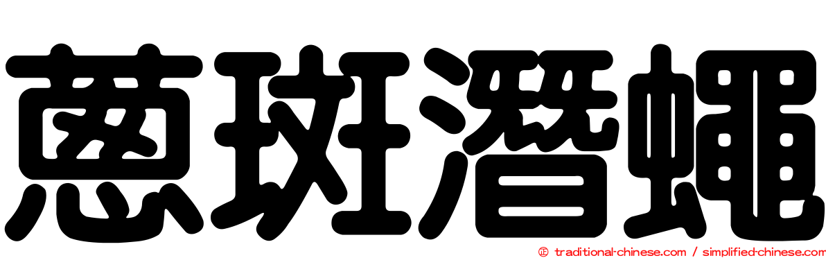 蔥斑潛蠅