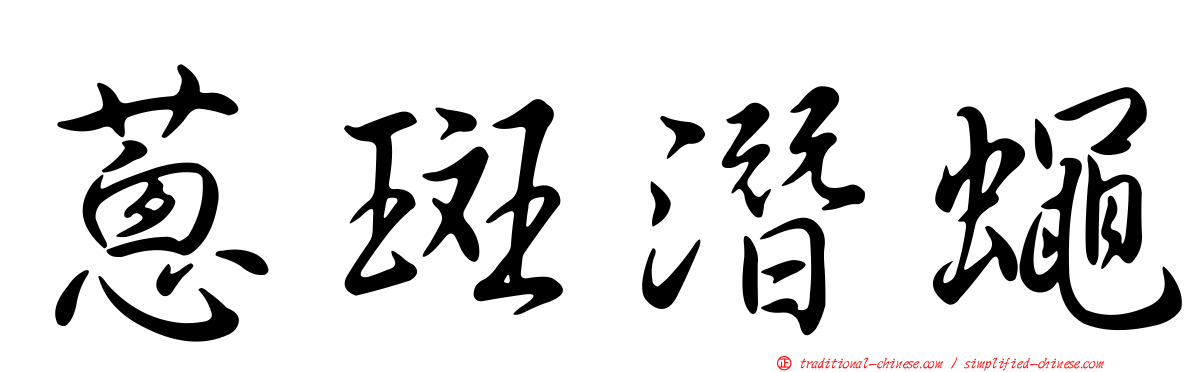蔥斑潛蠅