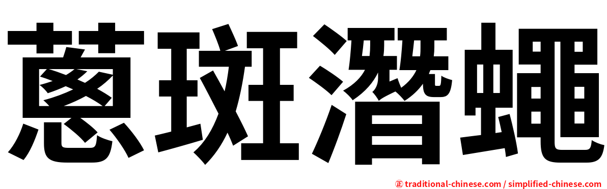 蔥斑潛蠅