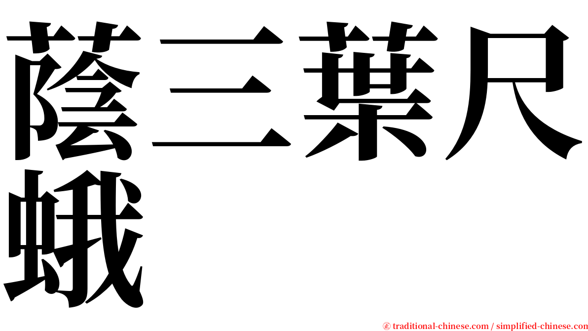 蔭三葉尺蛾 serif font