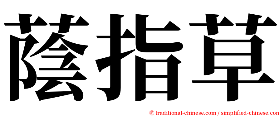 蔭指草 serif font