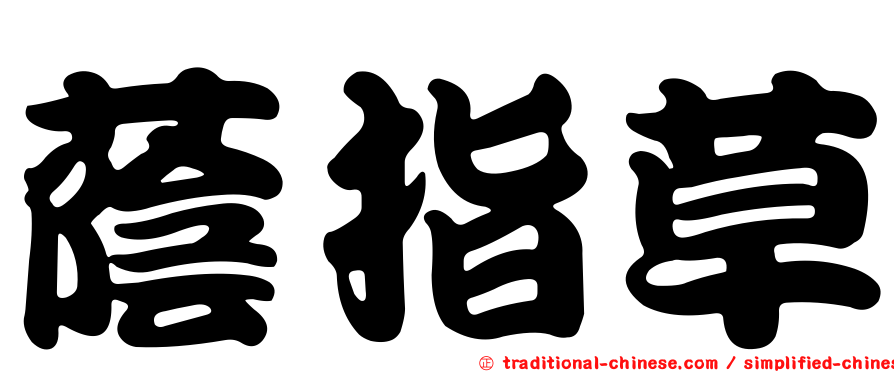 蔭指草