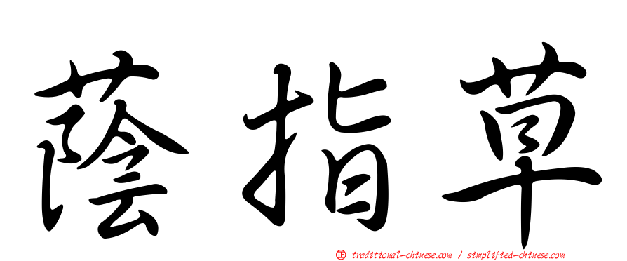 蔭指草