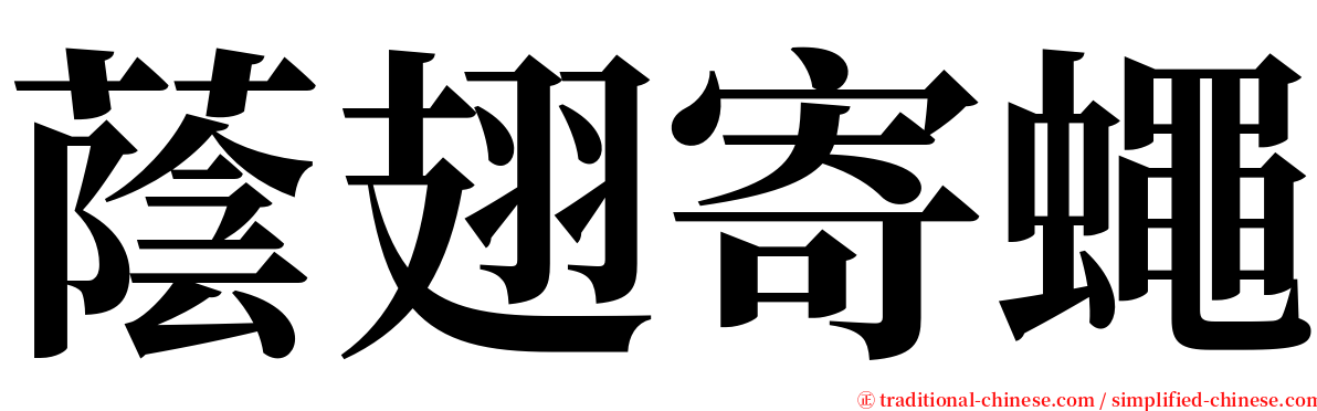 蔭翅寄蠅 serif font