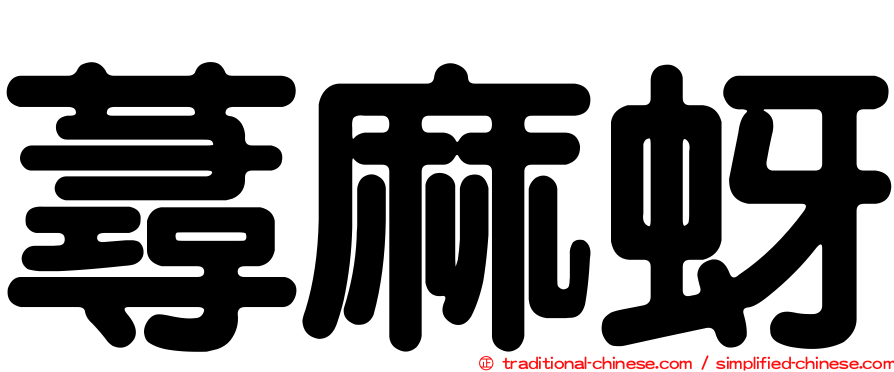 蕁麻蚜
