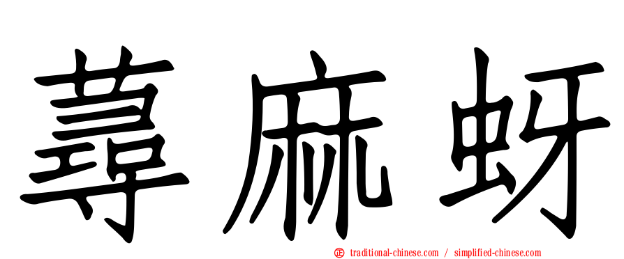 蕁麻蚜