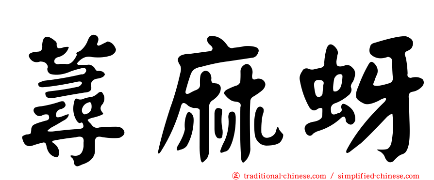 蕁麻蚜