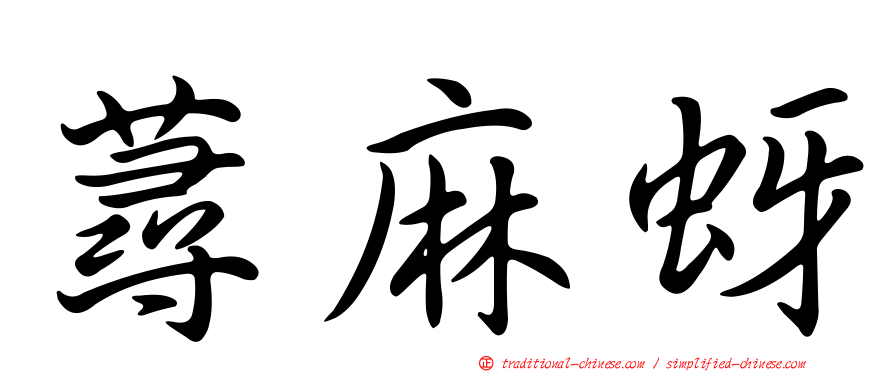 蕁麻蚜