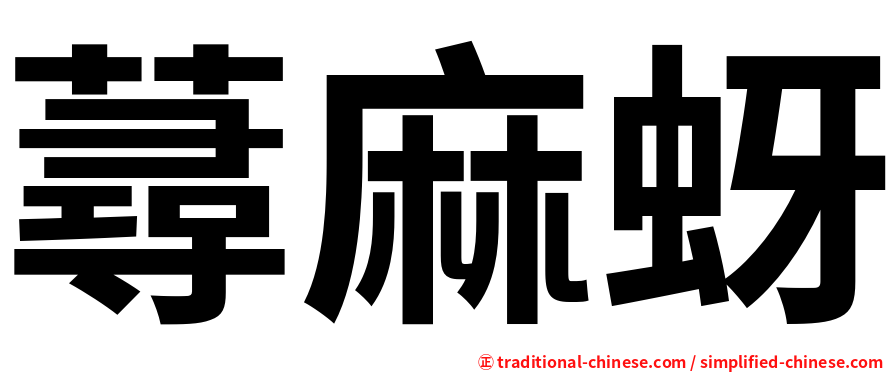 蕁麻蚜