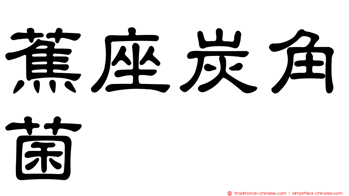蕉座炭角菌
