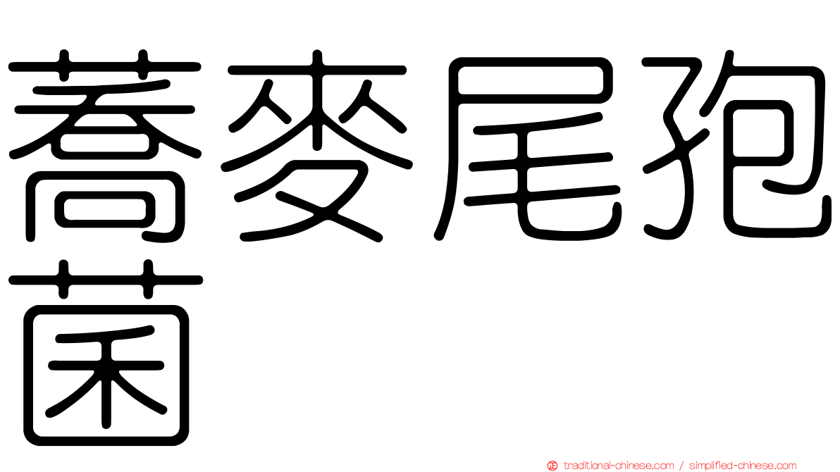蕎麥尾孢菌