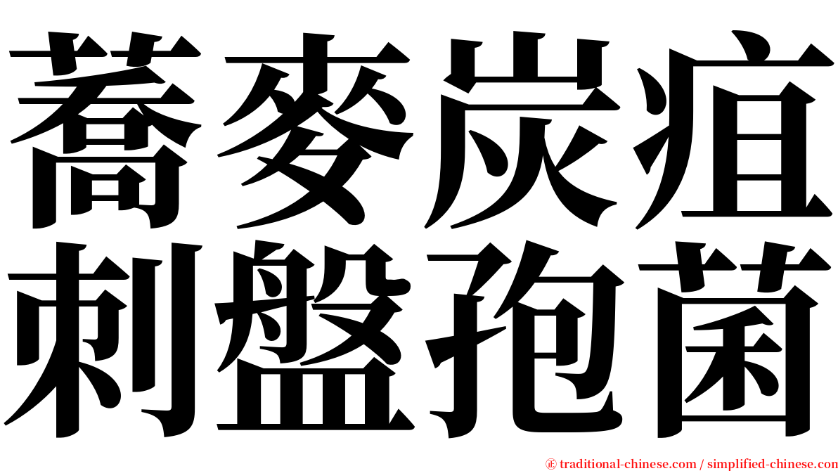 蕎麥炭疽刺盤孢菌 serif font