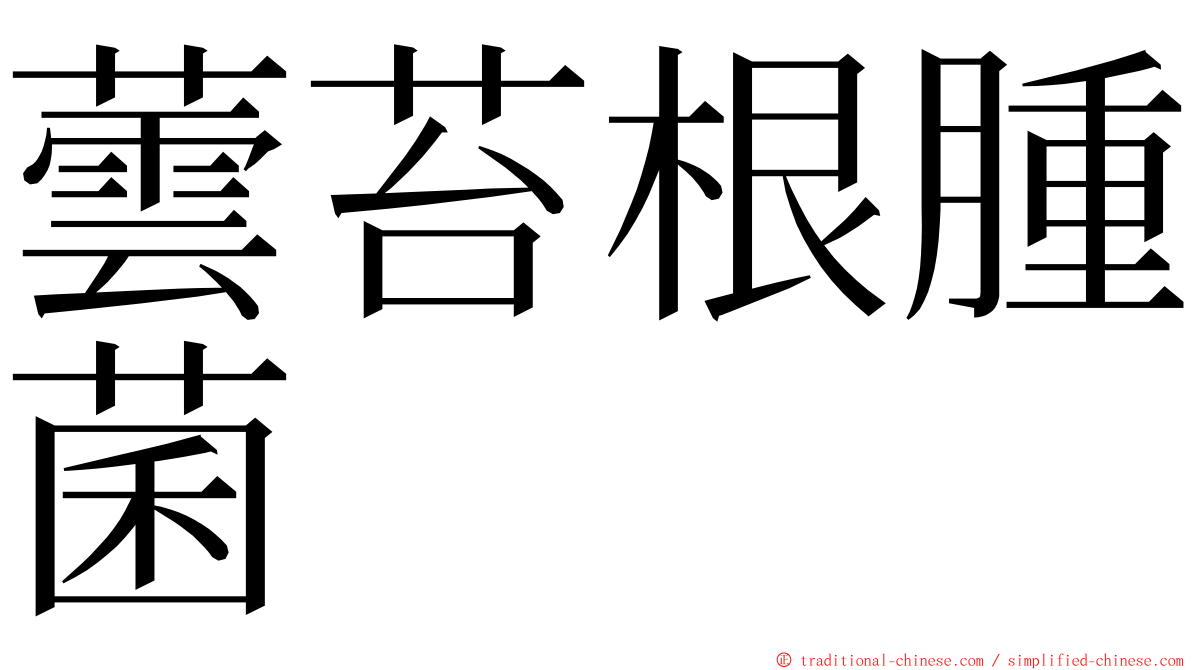 蕓苔根腫菌 ming font