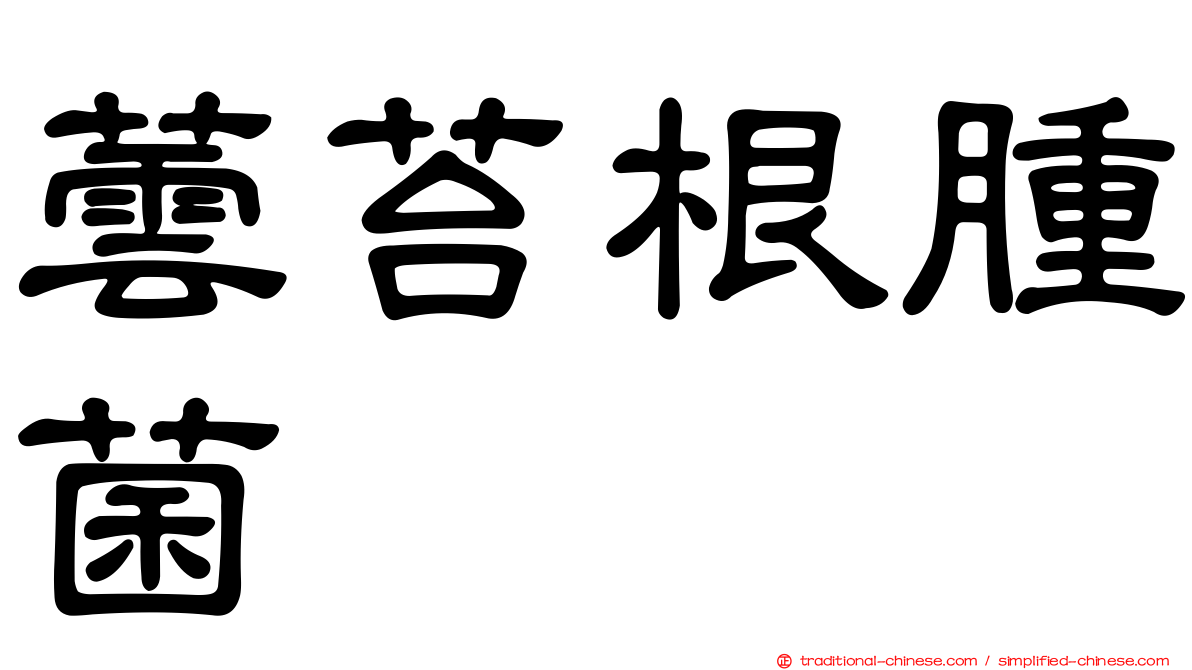 蕓苔根腫菌
