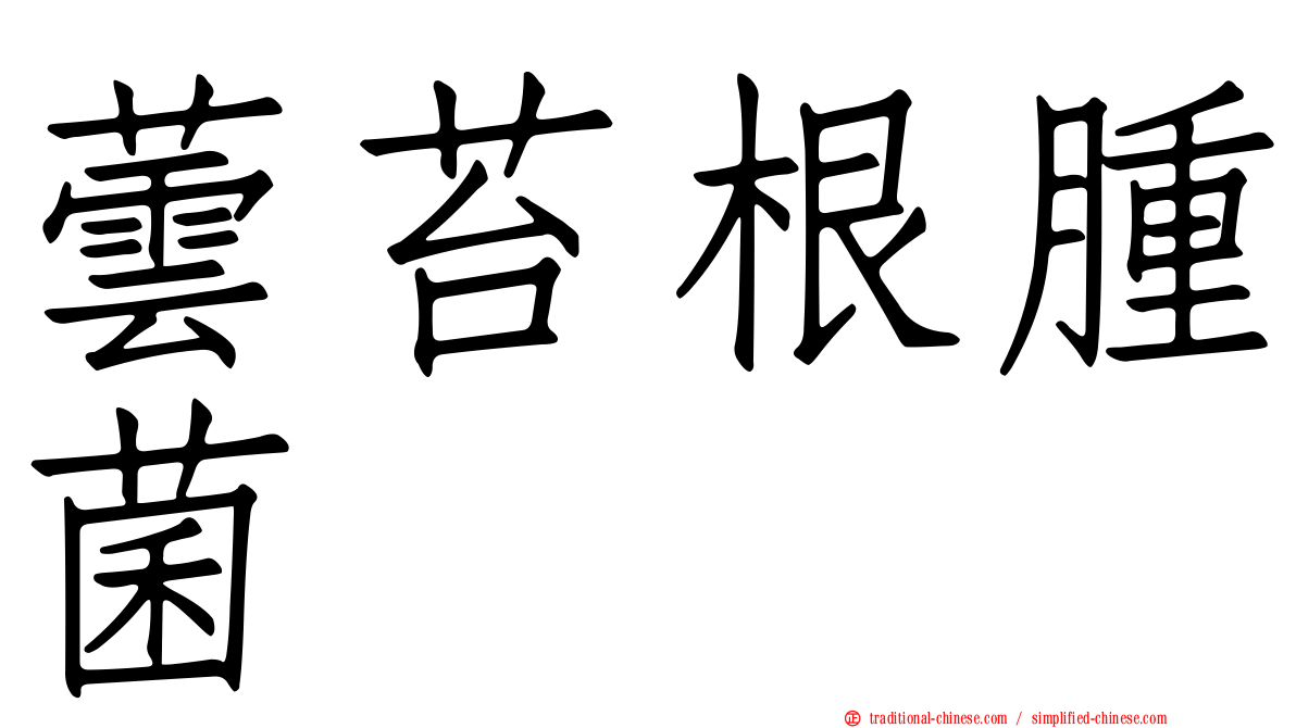 蕓苔根腫菌