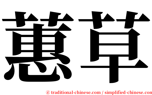 蕙草 serif font