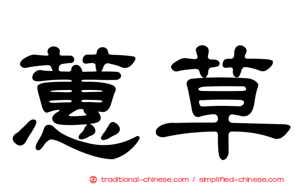 蕙草