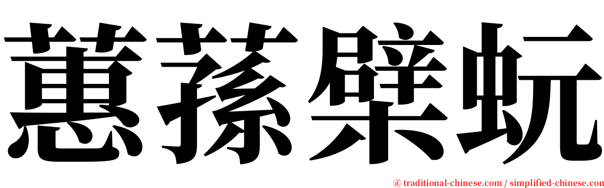 蕙蓀檗蚖 serif font