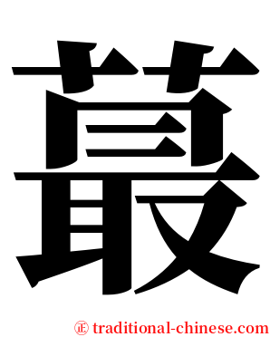 蕞 serif font