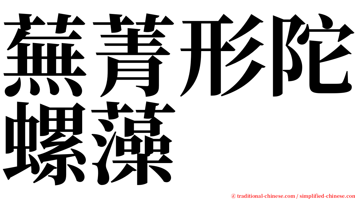 蕪菁形陀螺藻 serif font
