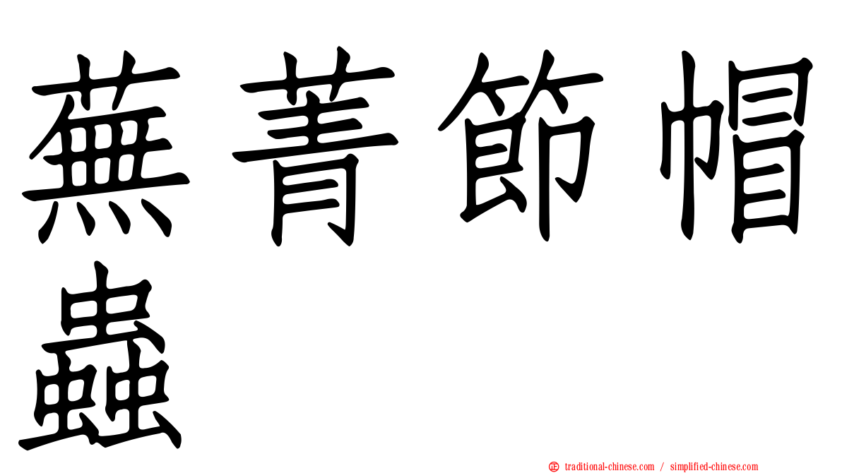 蕪菁節帽蟲
