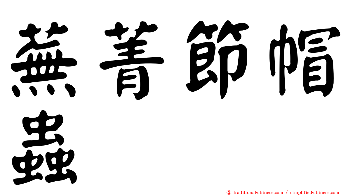 蕪菁節帽蟲