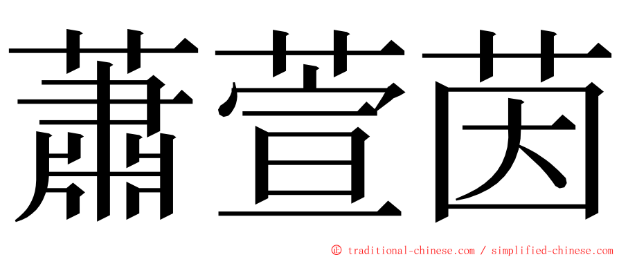 蕭萱茵 ming font