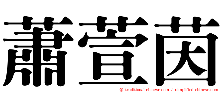 蕭萱茵