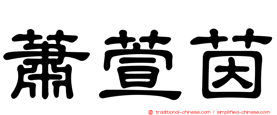 蕭萱茵