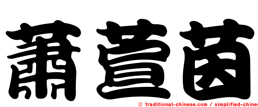 蕭萱茵