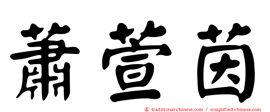蕭萱茵